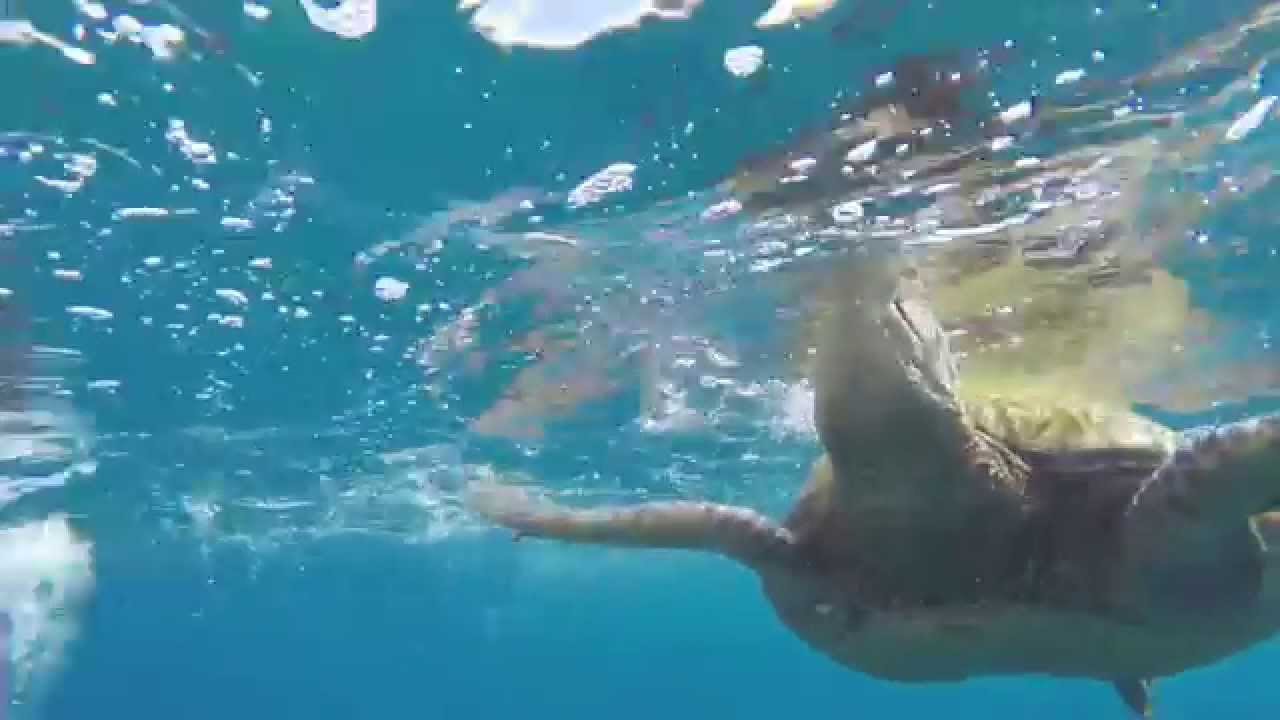 filmed for Marriott Kauai