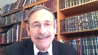 פרשת נח - היונה והזית מאז ועד היום (הרב מאיר גולדוויכט) - התמונה מוצגת ישירות מתוך אתר האינטרנט יוטיוב. זכויות היוצרים בתמונה שייכות ליוצרה. קישור קרדיט למקור התוכן נמצא בתוך דף הסרטון