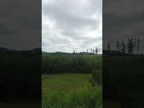 chegando em Cana Verde, Minas Gerais #interior #minasgerais #minas