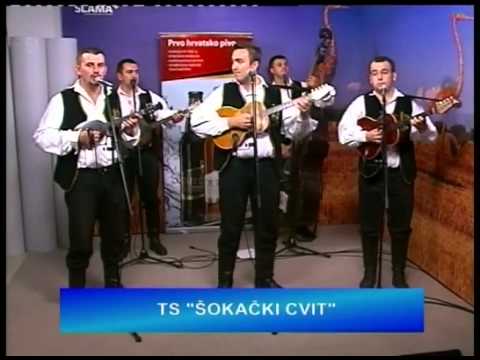 TS Šokački cvit - Vesela je šokadija.mp4