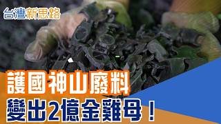 半導體廢料也能賺上億？台積電汙泥、日月光封裝膠邊料重生！台灣晶片王國的”零廢循環”新戰場  │主播 苑曉琬│【台灣新思路】20260711│三立財經iNEWS