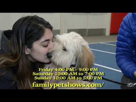 download lagu mp3 mp4 Greater Philadelphia Pet Expo 2019, download lagu Greater Philadelphia Pet Expo 2019 gratis, unduh video klip Greater Philadelphia Pet Expo 2019