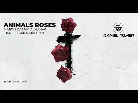 Martin Garrix, Almanac - Animals Roses (Daniel Tomen Mashup)