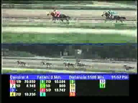 4TA CARRERA DOM 09 SEPTIEMBRE LA RINCONADA AUDIOHIPISMO