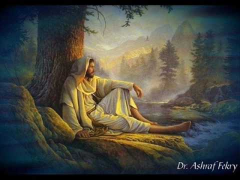 Amperator  najis tuke