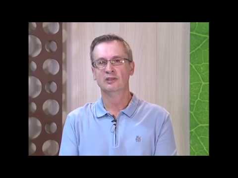 #186 - Por que a vida de algumas pessoas é mais complicada?