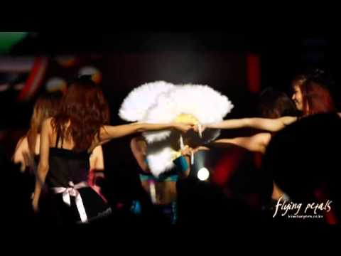 SNSD Taeyeon by: Flying Petals