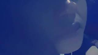 Download lagu Aku harus bagaimana dike ardila cover juke mp3