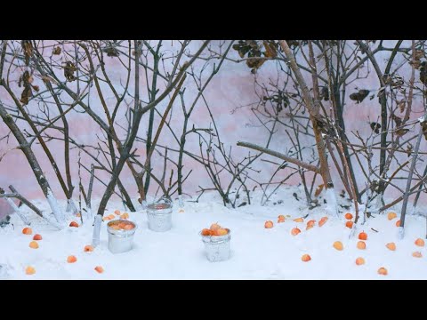 Video thumbnail for Полёвка (Vole)