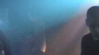 Taproot-Forever Endeavor