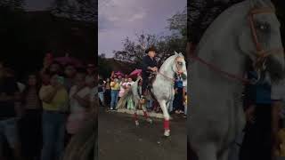 caballo blanco Antonio aguilar