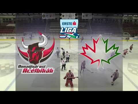 EL 205 - Dunaújvárosi Acélbikák - Hokiklub Budapest 3-2 20190113