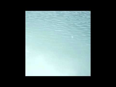 Loke Rahbek & Puce Mary - Liquefying Of The Flesh