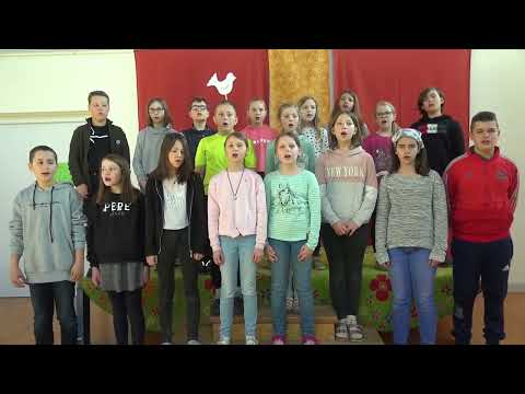 Kleine weiße Friedenstaube