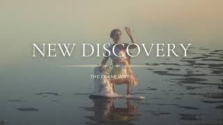 The Crane Wives - New Discovery (Lyrics)