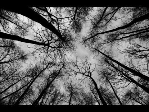 SintaKk - Teufelskreis (Prod. SintaKk)