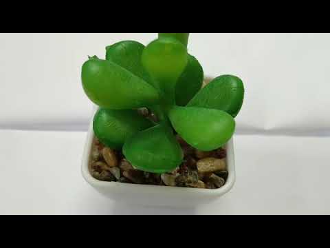 Artificial Bonsai for Decoration - Style2 (Size: 8.5 cm) - 1 Set / Box