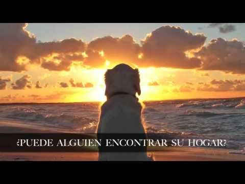 Sunshine Keane letra subtitulada al español