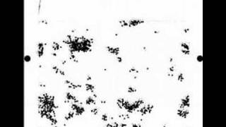 Self-Organizing Dynamics in Vicsek Model Simulation