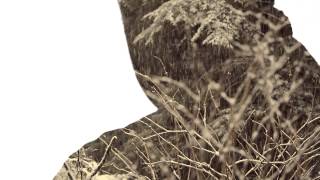 Saukrates - The Big Bang (OFFICIAL VIDEO)