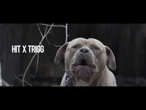 Hit x Trigg - Tears (Official Music Video)