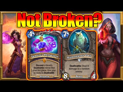 Owl Tamsin's Phylactery Is Beyond Broken & Needs Nerfed! Fractured in Alterac Valley | Hearthstone