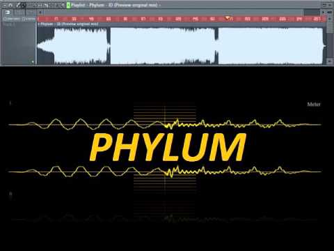 Phylum - ID (Preview original mix) #02