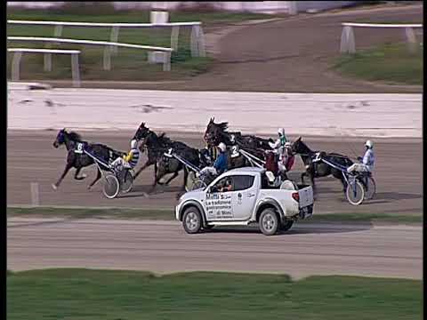 Trotto 10/11/2019 - 1ª corsa