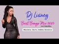 🎶🔥 Dj Lisney Best Bongo Mix 2023 🔥🎶 | TZ Love  Songs 💕💘|