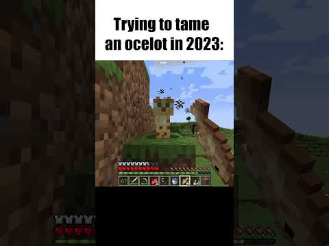 INSANE!! Taming Ocelots in 2023? Minecraft Craziness!