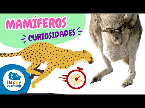 LOS ANIMALES MAMÍFEROS | CURIOSIDADES PARA NIÑOS | Happy Learning  🦁🐨🐘 #mamíferos #animales