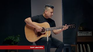 Taylor Guitars Gold Label 810e Playthrough Demo