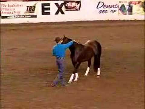 Clinton Anderson Offline