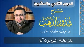 صورة المجلس الثاني والعشرون من شرح شذور الذهب - أنس عزت آغا