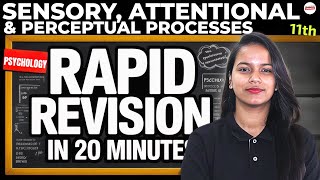 Class 11 Psychology Chapter 4 Sensory, Attentional, and Perceptual Processes | Rapid Revision