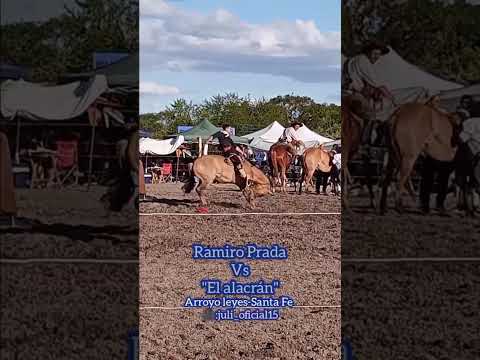 De un domingo por Arroyo leyes-Santa Fe📌🤠Ramiro Prada vs "El alacrán"✨Mí ig:juli_oficial15🌹 #jinete