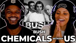 MAKES SENSE 🎵 Bush - Chemicals Between Us REACTION