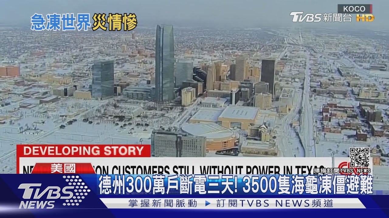 德州300萬戶斷電三天! 3500隻海龜凍僵避難