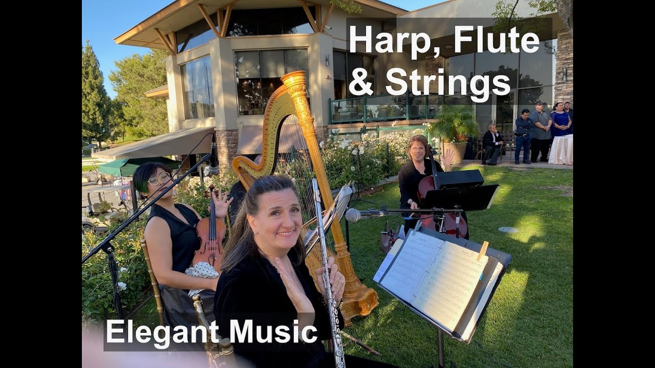 Promotional video thumbnail 3 for Elegant Music