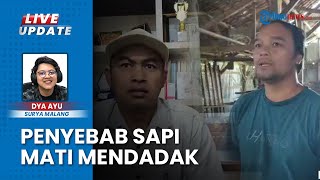 Peternak Resah Puluhan Sapi di Beji Kota Batu Mati Mendadak Gegara Keracunan Potasium Sianida
