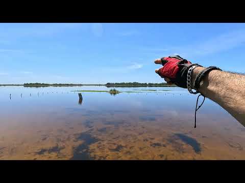 San Cosme,Laguna Totora🇦🇷,Cuna del Taita del chamame.. 