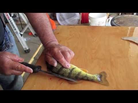 How to clean a Perch with no waste