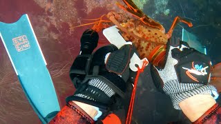 Eating a Mushy Lobster