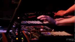 Moog Music Presents: RBTS Win - Hot Gold