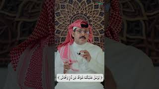 مسائل نافع بن الأزرق لابن عباس: معنى (يرسل عليكما شواظٌ من نارٍ ونحاس) image