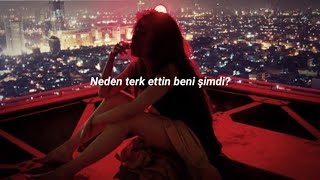 Liz Rodrigues - Why Did You Leave Me Now? (Türkçe Çeviri)