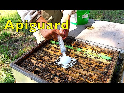 , title : 'Using Apiguard for Varroa Mite Treatment'