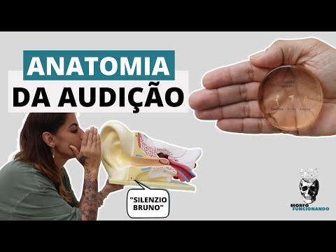 SPECIAL SENSES - ANATOMY OF HEARING (ORGANS AND AUDITORY PATHWAY) #13