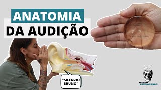 SENTIDOS ESPECIAIS - ANATOMIA DA AUDIÇÃO (ÓRGÃOS E VIA AUDITIVA) #13