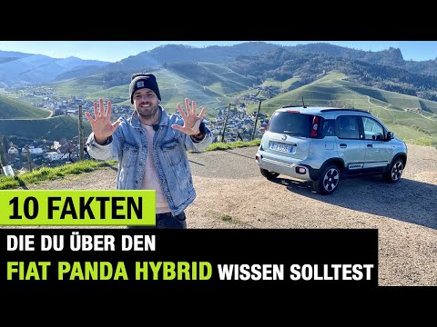 10 Fakten❗️die DU über DEN 2020 Fiat Panda Hybrid 🔋🐼 wissen solltest! Fahrbericht | Review | Test.